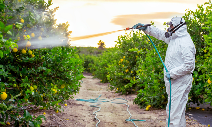 Indemnisation victimes pesticides